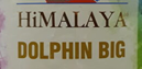 Dolphin Big