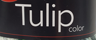 Tulip color